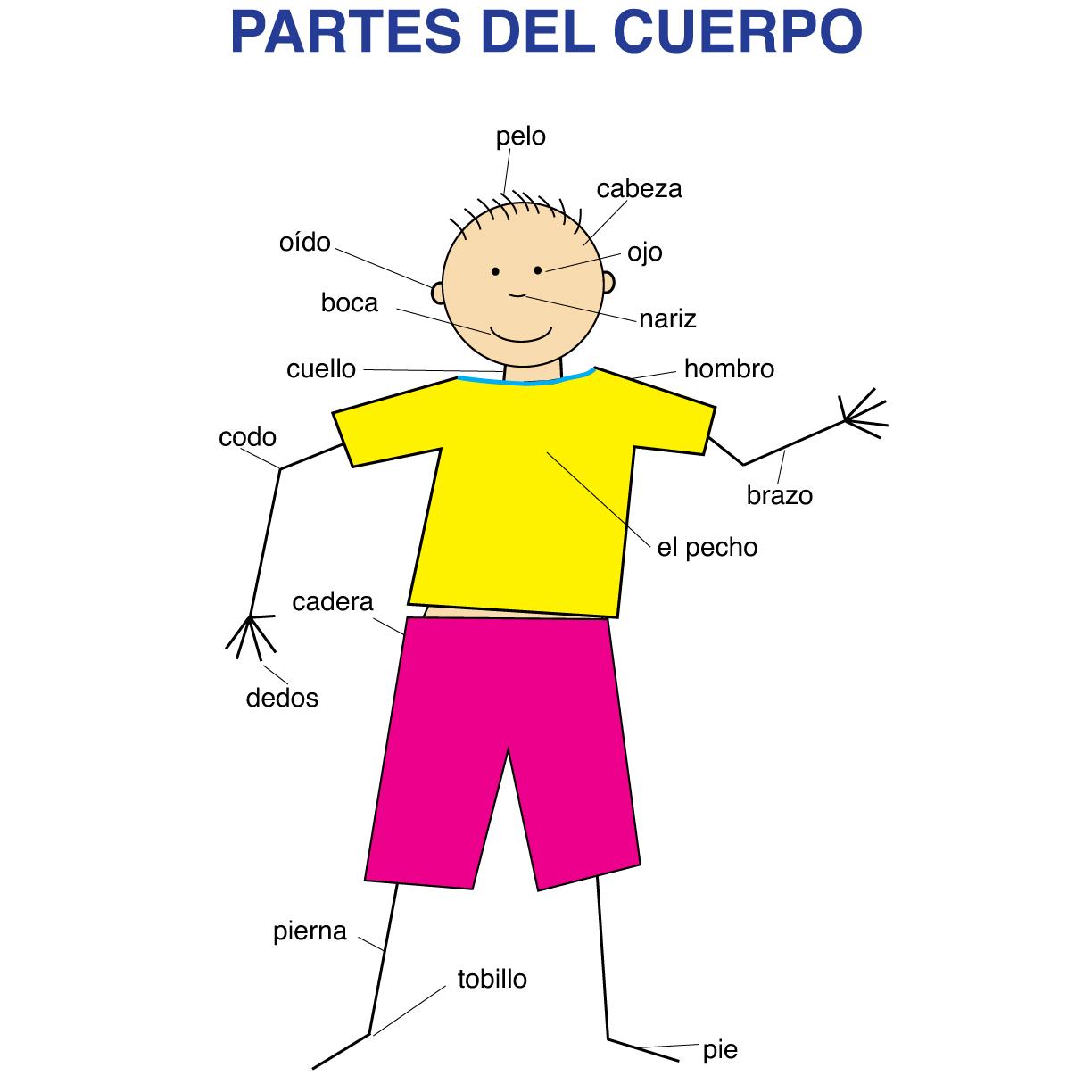 English To Spanish Body Parts Worksheet